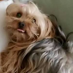 Meet your Posher, Marcia